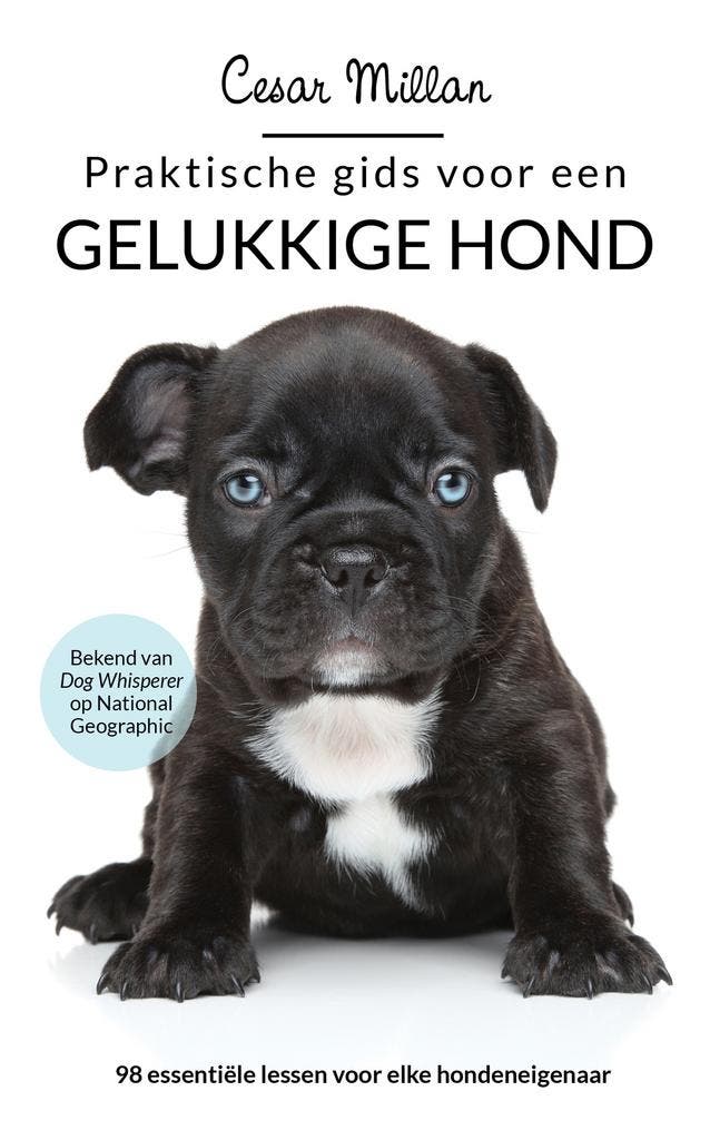 Praktische gids voor een gelukkige hond 9789044351705, Boeken, Hobby en Vrije tijd, Gelezen, Verzenden