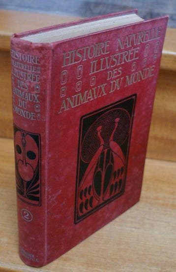 Philippe Hettinger - Histoire naturelle illustrée des