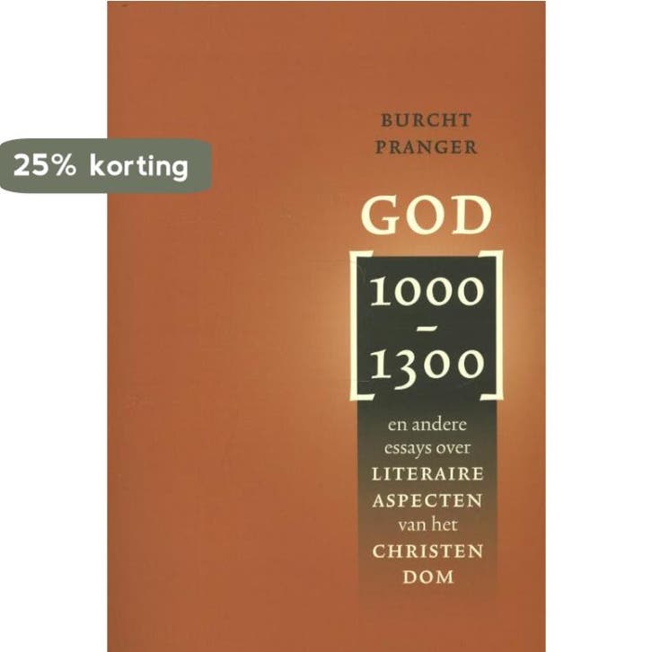 God (1000-1300) / Middeleeuwse studies en bronnen / 143, Boeken, Geschiedenis | Wereld, Zo goed als nieuw, Verzenden