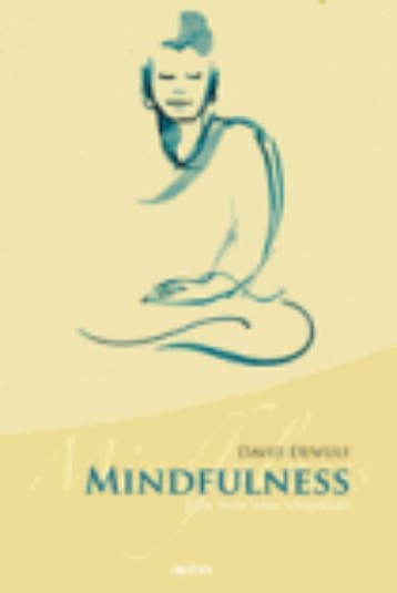Mindfulness 9789033475498 David Dewulf, Verzenden, David Dewulf