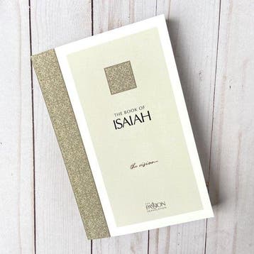 The Book of Isaiah 9781424556700 Brian Simmons, Verzenden, Brian Simmons