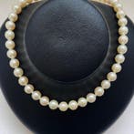 Halsketting Zilver Parel - PSLAkoya6.5-7.0mm