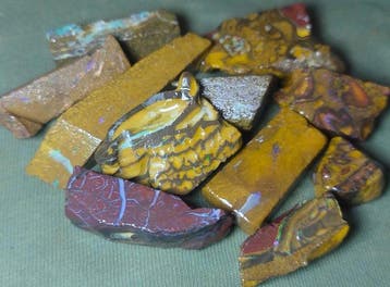 218 ct - 11 Australische Boulder-Opalen Ruw - Veelkleurig!-