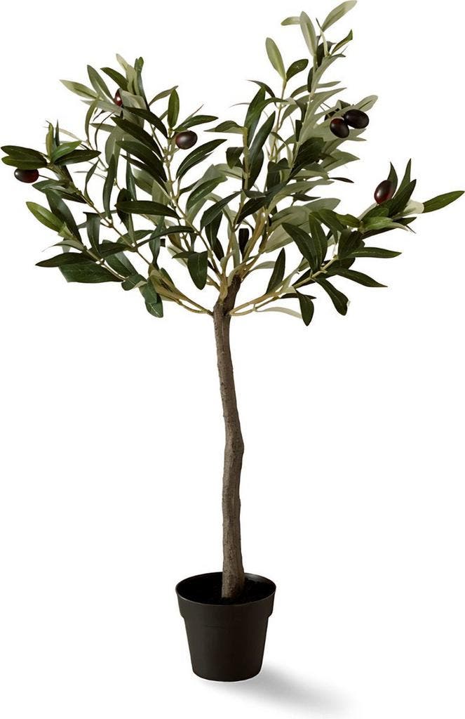 2dekans | BYKO Kunst Olijfboom Groen - Ø45 x 65 cm -, Tuin en Terras, Overige Tuin en Terras, Ophalen of Verzenden