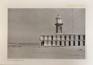 David Hum - Winter loves on the beach