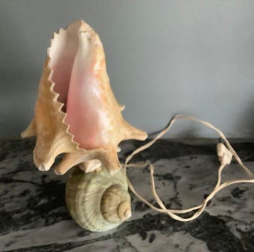 Lampe - Coquille - Lampe Schelp