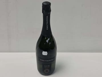 (16x) fles(sen) Casa Valduga Branco nature 75, Collections, Vins