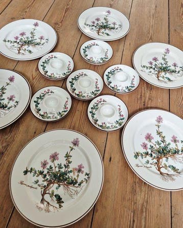 Villeroy & Boch - Ontbijtservies (12) - Botanica - Porselein, Antiek en Kunst