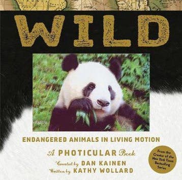 Wild 9781523501472 Dan Kainen, Verzenden, Gelezen, Dan Kainen