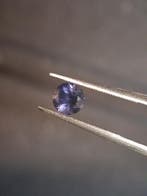 Natural Iolite - 0.452 ct - round - unheated - bluish violet, Verzenden