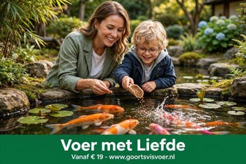Voer met Liefde-Het Beste koi Voer, voorJouw Siervijver, Animaux & Accessoires, Nourriture pour Animaux, Verzenden