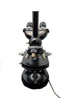 Stereo microscope - trinocular head - 1950-1960 - Zeiss