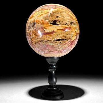 Gefossiliseerd hout - Wonderful Pair of Petrified Wood