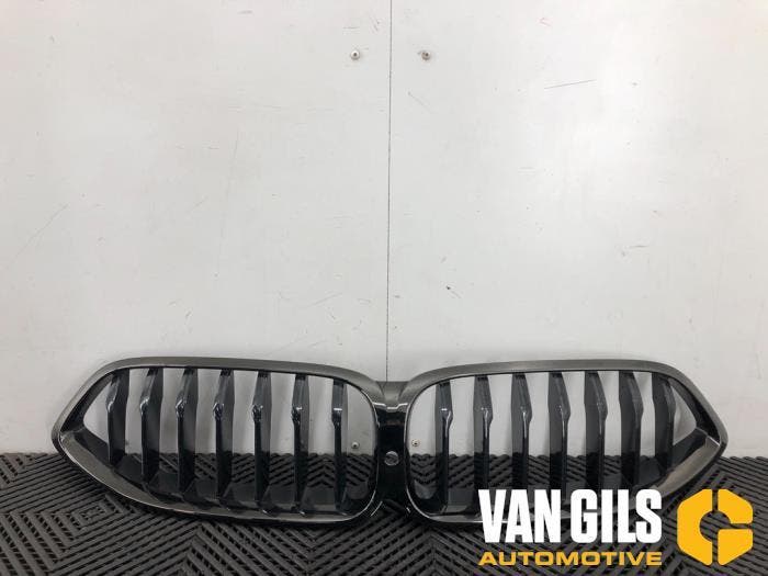 Grille BMW 3-Serie O251224, Auto-onderdelen, Carrosserie