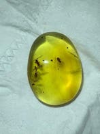 Birmese barnsteen - Barnsteen (Zonder minimumprijs), Verzamelen, Mineralen en Fossielen