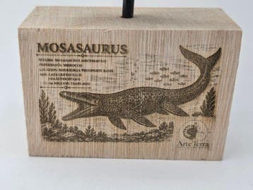 Mosasaurus - Fossiele tand - Mosasaur tooth on a custom base