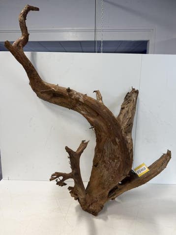 Fine Sinking Wood Selected  FS468  124X60X40 cm, Ophalen of Verzenden, Nieuw, Plant(en), Steen of Hout