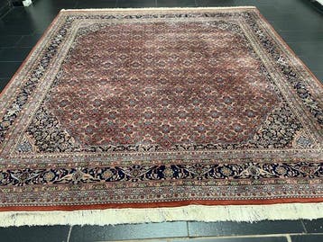 Herati Bidjar - Tapis - 300 cm - 285 cm, Maison & Meubles