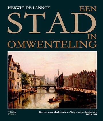 Een stad in omwenteling 9789082416060 Herwig De Lannoy, Boeken, Verzenden, Gelezen, Herwig De Lannoy