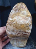 XXL Petrified wood sculpture - HQ - Hoogte: 210 mm -, Verzamelen, Mineralen en Fossielen