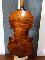 Viool - Frankrijk - 1880 (Zonder minimumprijs), Nieuw