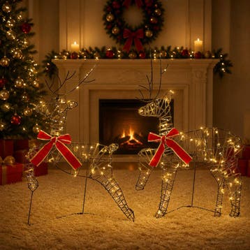 vidaXL Kerst Rendier 2 st 40 LEDs Warmwit, Verzenden, Nieuw