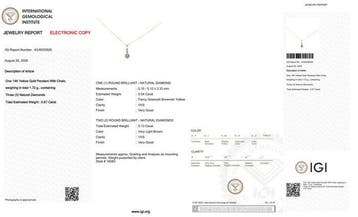 Zonder minimumprijs - Ketting met hanger - 14 karaat Geel