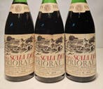 1974 Cellers de Scala Dei Cartoixa - Priorat - 3 Bouteilles
