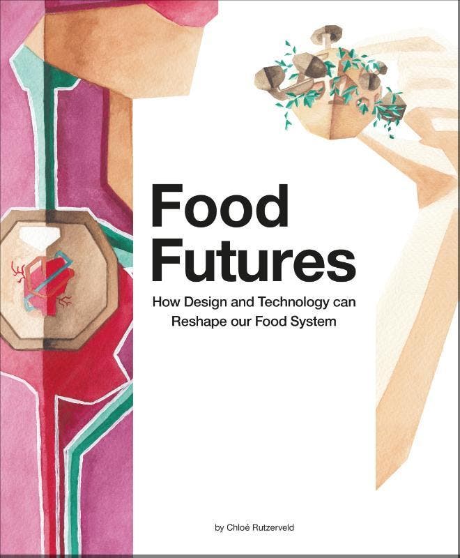 Food Futures 9789063695170 Chloé Rutzerveld, Boeken, Taal | Engels, Gelezen, Verzenden