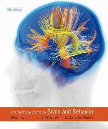 An Introduction to Brain and Behavior 9781464106019, Verzenden, Bryan Kolb
