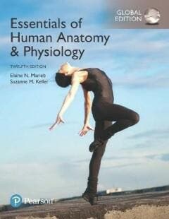Essentials of Human Anatomy & Physiology, Global Edition, Boeken, Taal | Engels, Zo goed als nieuw, Verzenden