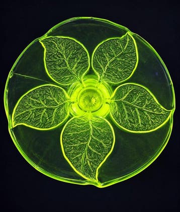 Plat à tarte - Vijfbladig botanisch Reliëf - plexiglas