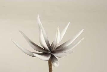 Cactus Flower Lichtgrijs Foam 16 cm 10 stuks