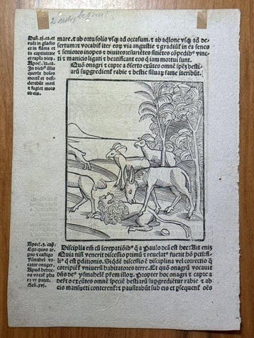 Basel, Michael Furter (ed. by Sebastian Brant), 1498 -