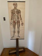 Prof Dr J.A.J. Barge - G.B van GoorZonen’s, Antiek en Kunst