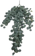 Eucalyptus Zijden Grey Groen Hanger vuller 127 cm, Nieuw