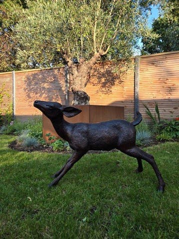 Sculpture, Young Deer - 81 cm - 60 cm - Bronze