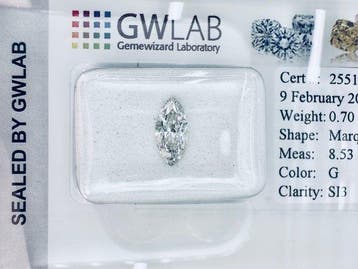 Sans prix de réserve - 1 pcs Diamant (Naturelle) - 0.70 ct -