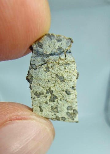 Météorite martienne, Tarkint 001. (shergottite