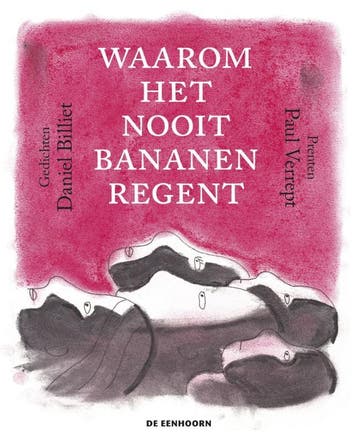 Waarom het nooit bananen regent 9789462915060 Daniël Billiet, Verzenden, Zo goed als nieuw, Daniël Billiet