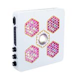 Beehive B4 LED kweeklamp, Verzenden, Nieuw