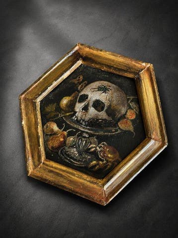 Vanité crâne aux insectes – Mémento Mori - XVIII ème