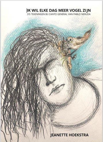 Ik wil elke dag meer vogel zijn - boek - kunst - tekening, Verzenden, Jeanette Hoekstra