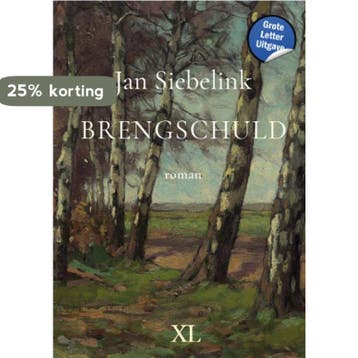 Brengschuld 9789046314456 Jan Siebelink, Verzenden, Zo goed als nieuw, Jan Siebelink