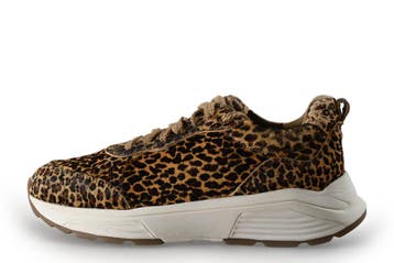 Xsensible Sneakers in maat 40 Panter, Kleding | Dames, Schoenen, Xsensible, Overige kleuren, Verzenden, Sneakers