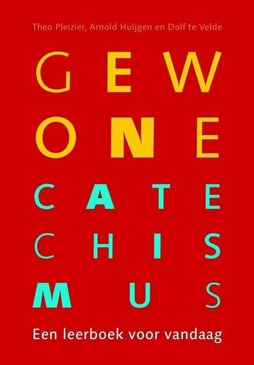 Gewone Catechismus (9789023954903, Theo Pleizier), Verzenden, Nieuw