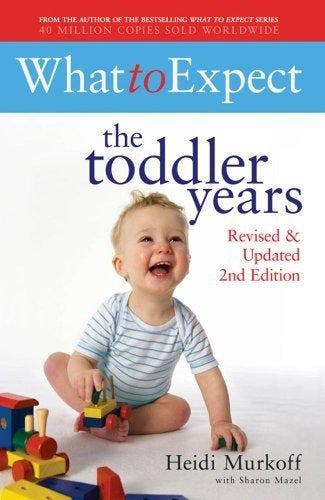 What to Expect 9781847376213 Heidi Murkoff, Livres, Langue | Anglais, Envoi
