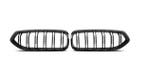 Nieren Grill Dubbelspijls Glanzend Zwart BMW Z4 G29 B2081