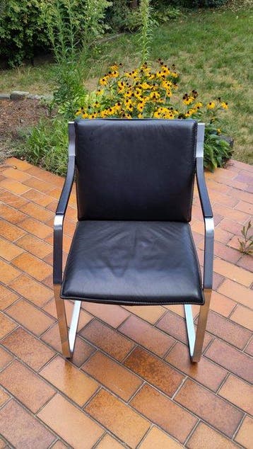 Walter Knoll - Chaise - Chaise cantilever - Cuir, Acier, Antiek en Kunst