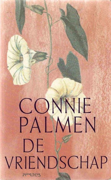 De vriendschap 9789053338018 Connie Palmen, Verzenden, Gelezen, Connie Palmen